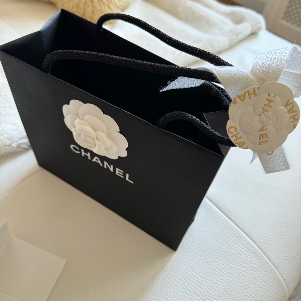 Chanel Medium Boutique Paper Bag - Picture 4 of 8